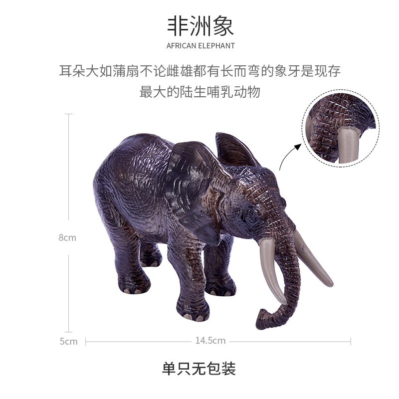 仿真玩具模型儿童野生动物摆件非洲象