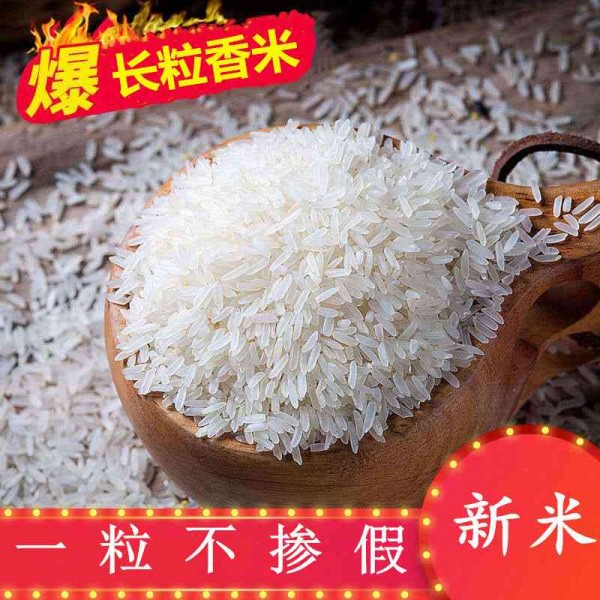 长粒香米 丝苗香大米 南方籼米 一级新米