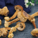 川珍 姬松茸 60g四川巴西菇菌菇食用菌干货山珍土特产